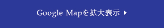 Google Mapを拡大表示